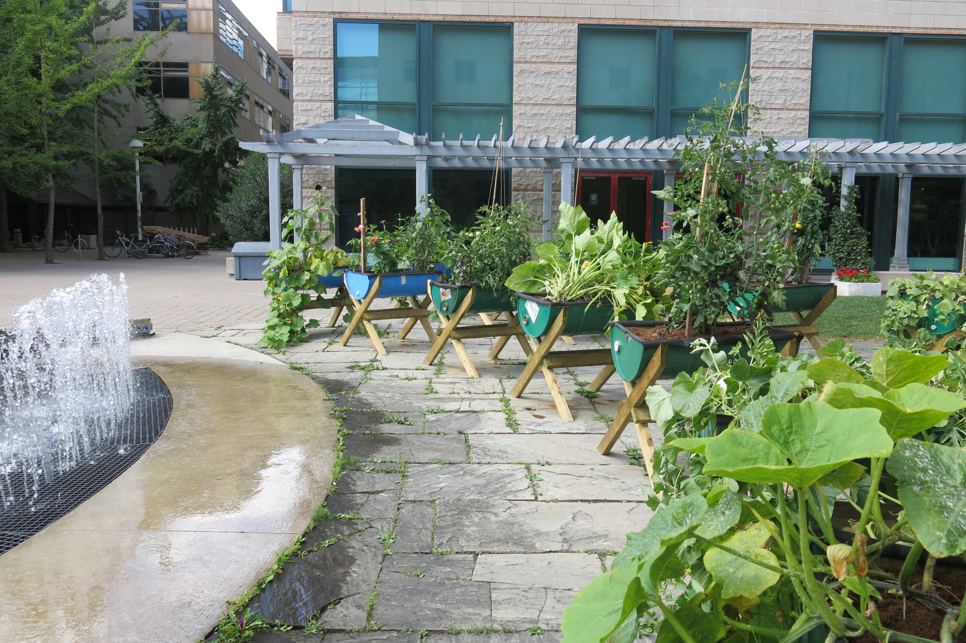 Courtyard on Ryerson University campus. Photo: Rhonda Teitel-Payne